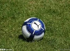 黄博文汇聚,精英团队,独家揭示,DB真人视讯,DB真人,(Sports),DB视讯官网,DB真人官方平台