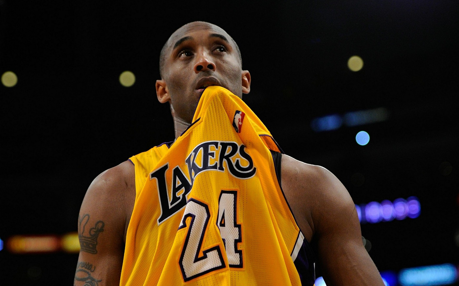 看林延那令 看林延那令